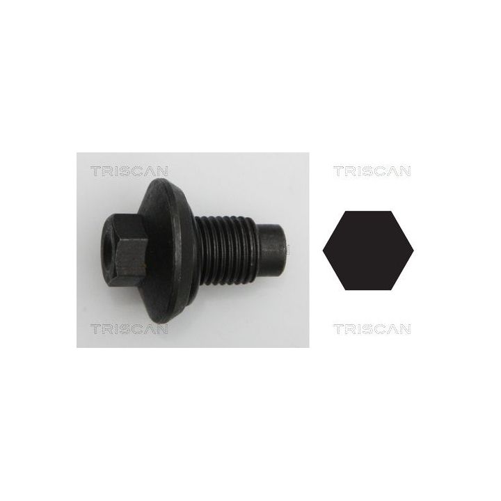 Alyvos išleidimo kaištis, alyvos karteris TRISCAN 9500 1009