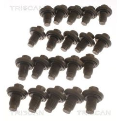 Alyvos išleidimo kaištis, alyvos karteris TRISCAN 9500 1009-20