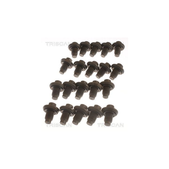 Alyvos išleidimo kaištis, alyvos karteris TRISCAN 9500 1009-20