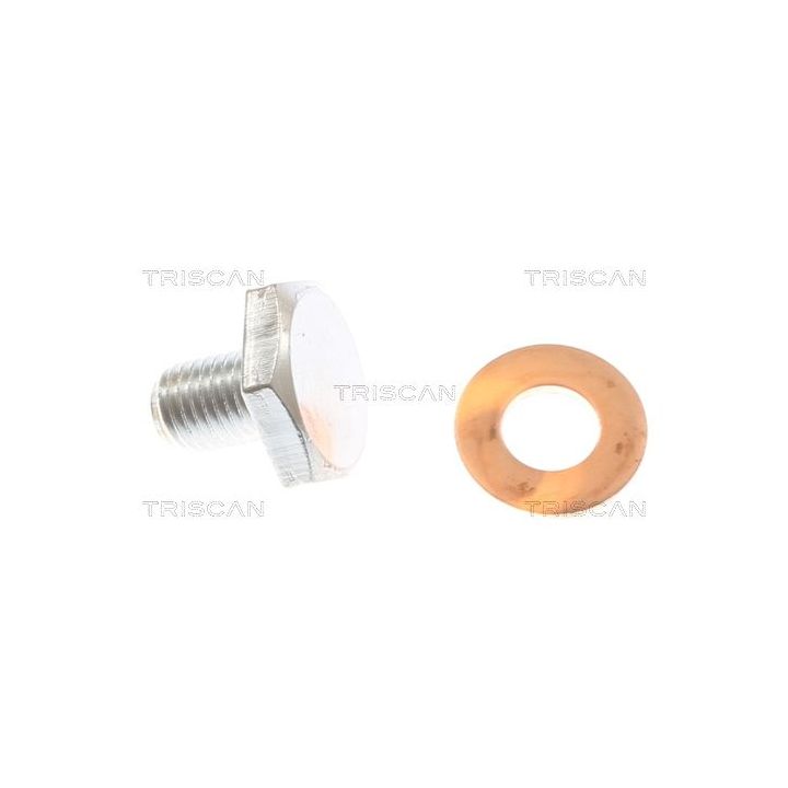 Alyvos išleidimo kaištis, alyvos karteris TRISCAN 9500 1010