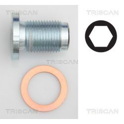 Alyvos išleidimo kaištis, alyvos karteris TRISCAN 9500 1014