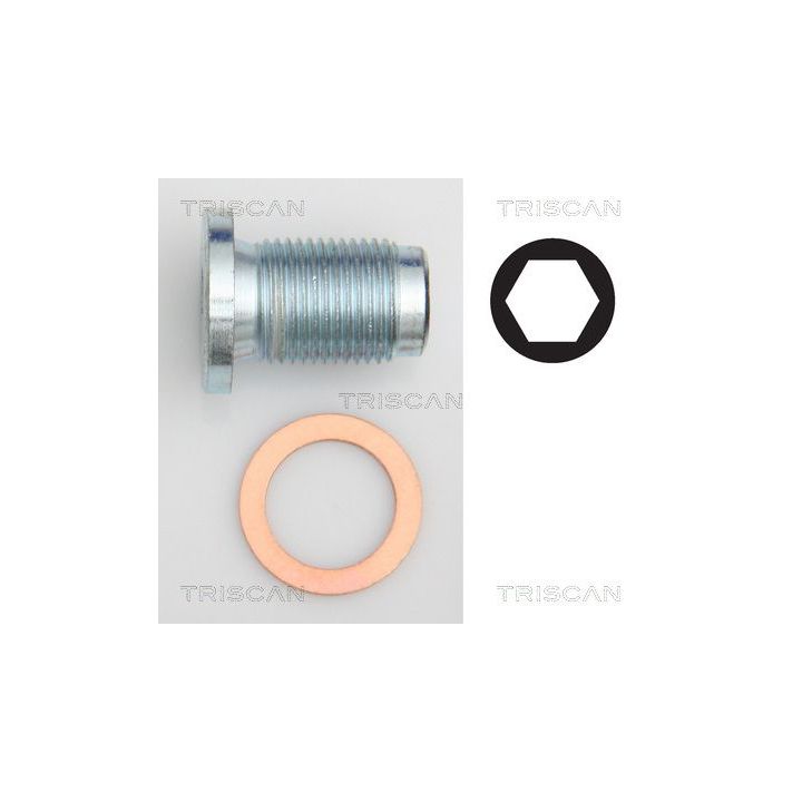 Alyvos išleidimo kaištis, alyvos karteris TRISCAN 9500 1014
