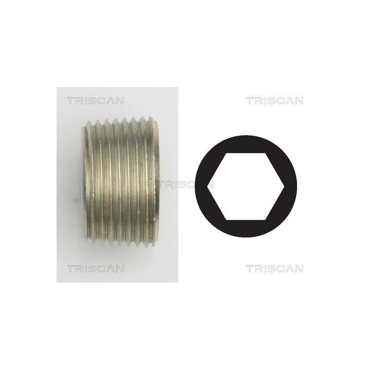 Alyvos išleidimo kaištis, alyvos karteris TRISCAN 9500 1015