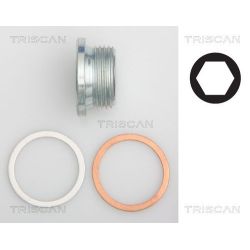 Alyvos išleidimo kaištis, alyvos karteris TRISCAN 9500 1018