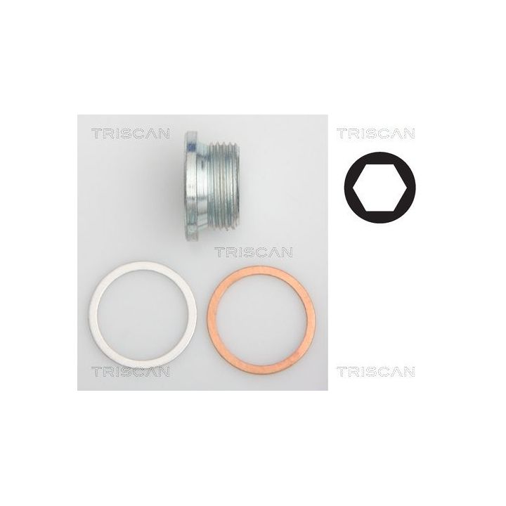 Alyvos išleidimo kaištis, alyvos karteris TRISCAN 9500 1018