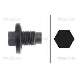 Alyvos išleidimo kaištis, alyvos karteris TRISCAN 9500 1021