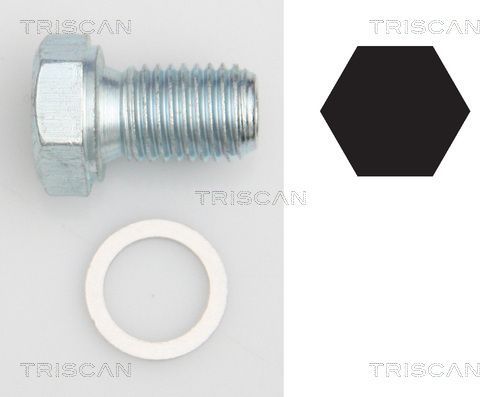 Alyvos išleidimo kaištis, alyvos karteris TRISCAN 9500 1101