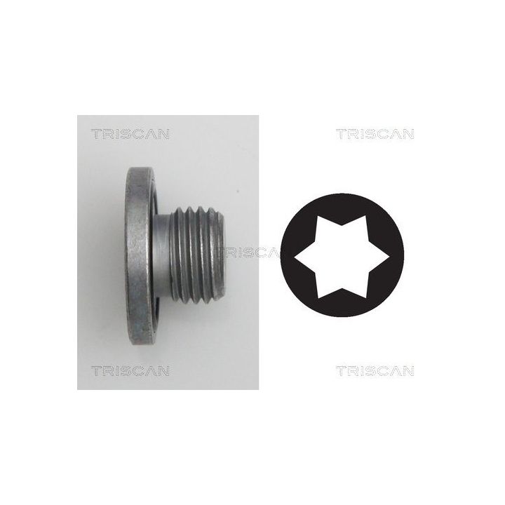 Alyvos išleidimo kaištis, alyvos karteris TRISCAN 9500 2401