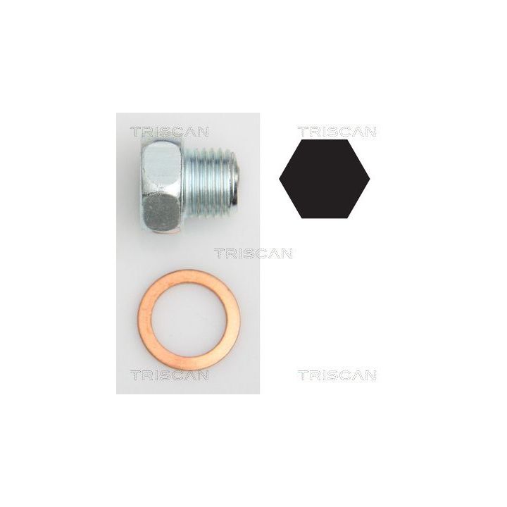 Alyvos išleidimo kaištis, alyvos karteris TRISCAN 9500 2404