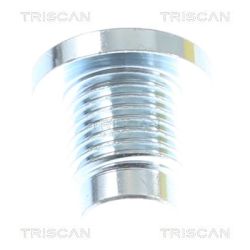 Alyvos išleidimo kaištis, alyvos karteris TRISCAN 9500 5001