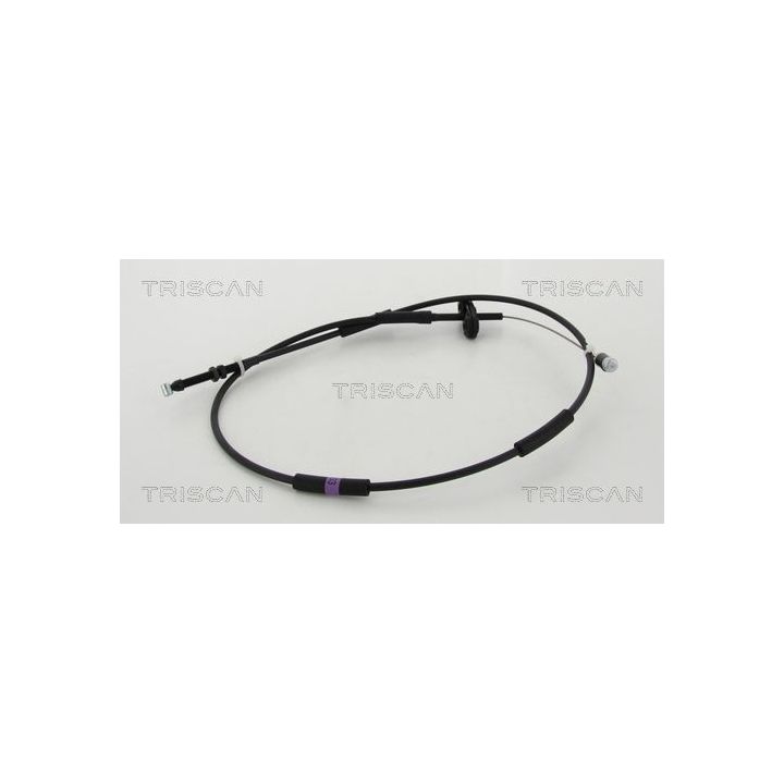 Akceleratoriaus trosas TRISCAN 8140 43313