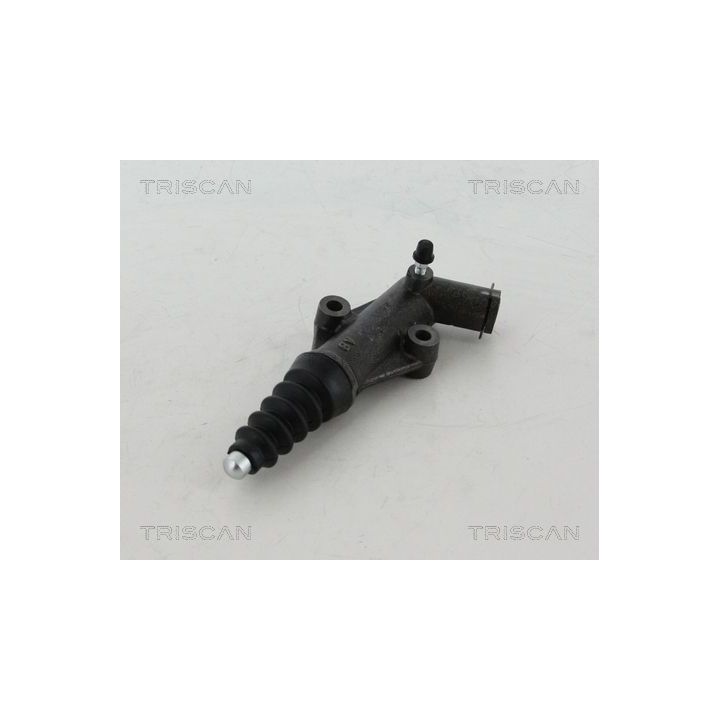 Darbinis cilindras, sankaba TRISCAN 8130 15311