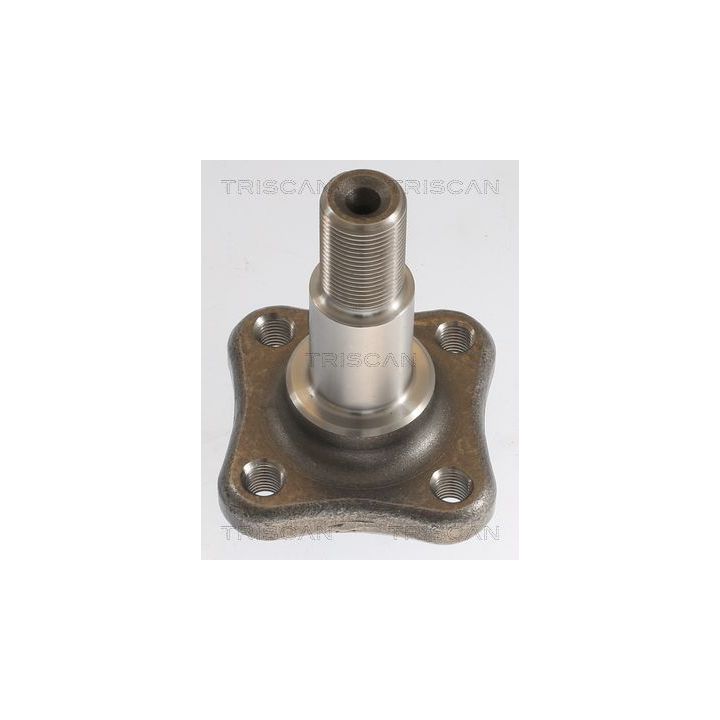 Rato stebulė TRISCAN 8535 25007