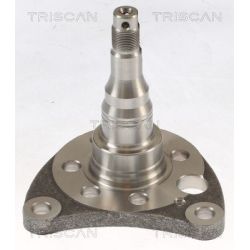 Rato stebulė TRISCAN 8535 29011
