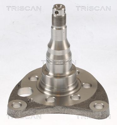 Rato stebulė TRISCAN 8535 29012