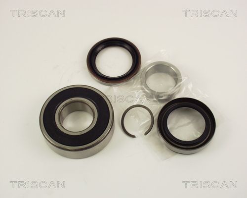 Rato guolio komplektas TRISCAN 8530 10254