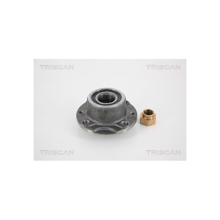 Rato guolio komplektas TRISCAN 8530 15209