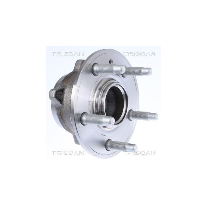 Rato guolio komplektas TRISCAN 8530 18101