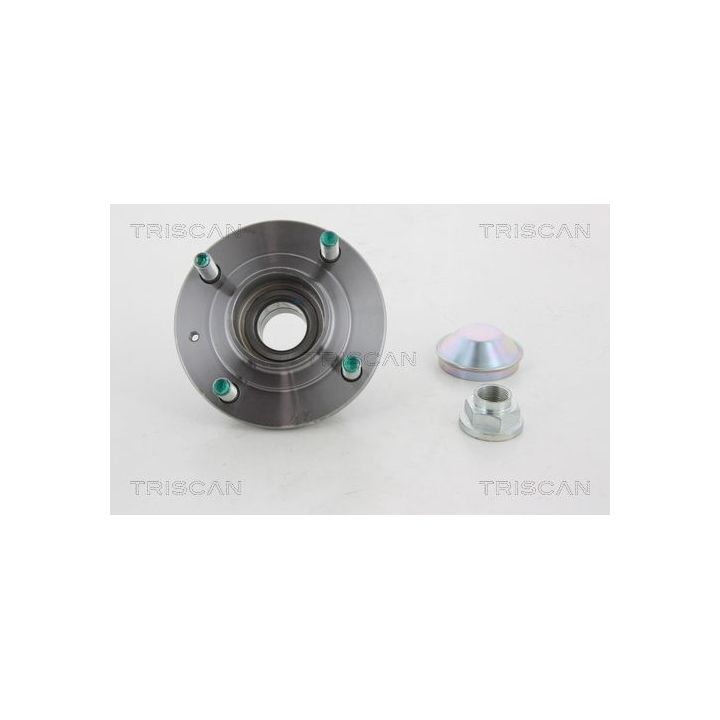 Rato guolio komplektas TRISCAN 8530 18212