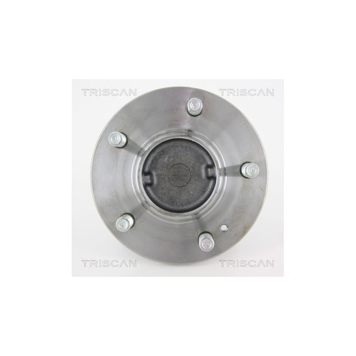 Rato guolio komplektas TRISCAN 8530 43232