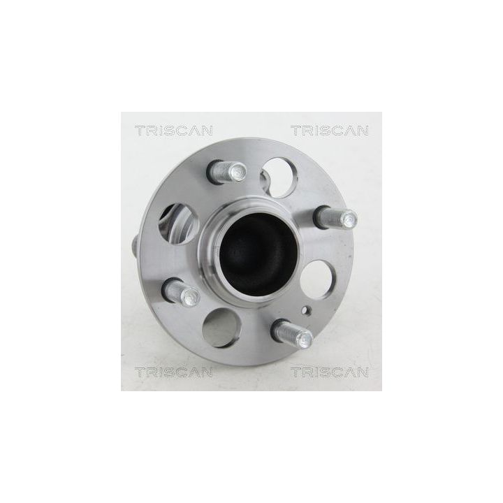 Rato guolio komplektas TRISCAN 8530 43243