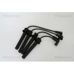 Uždegimo laido komplektas TRISCAN 8860 11006
