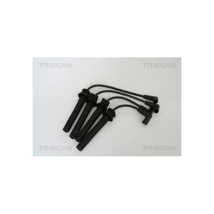 Uždegimo laido komplektas TRISCAN 8860 11006