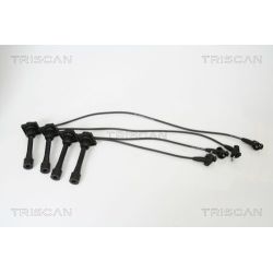Uždegimo laido komplektas TRISCAN 8860 13004