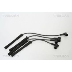 Uždegimo laido komplektas TRISCAN 8860 1443