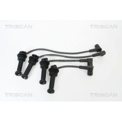 Uždegimo laido komplektas TRISCAN 8860 16009