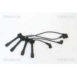 Uždegimo laido komplektas TRISCAN 8860 18006