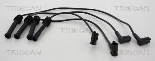 Uždegimo laido komplektas TRISCAN 8860 25011