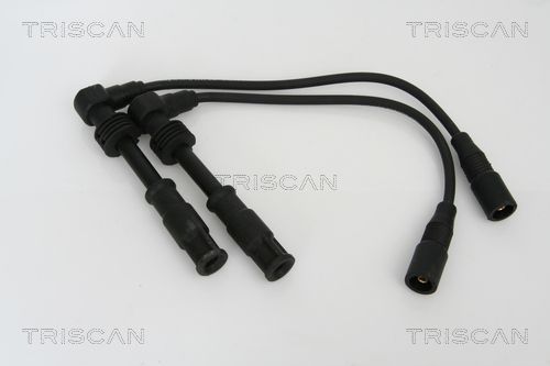 Uždegimo laido komplektas TRISCAN 8860 29006
