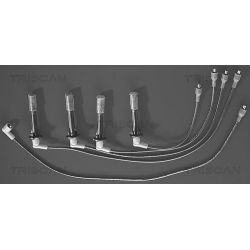 Uždegimo laido komplektas TRISCAN 8860 3395