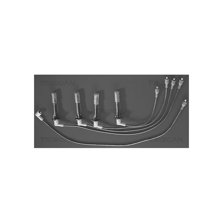 Uždegimo laido komplektas TRISCAN 8860 3395