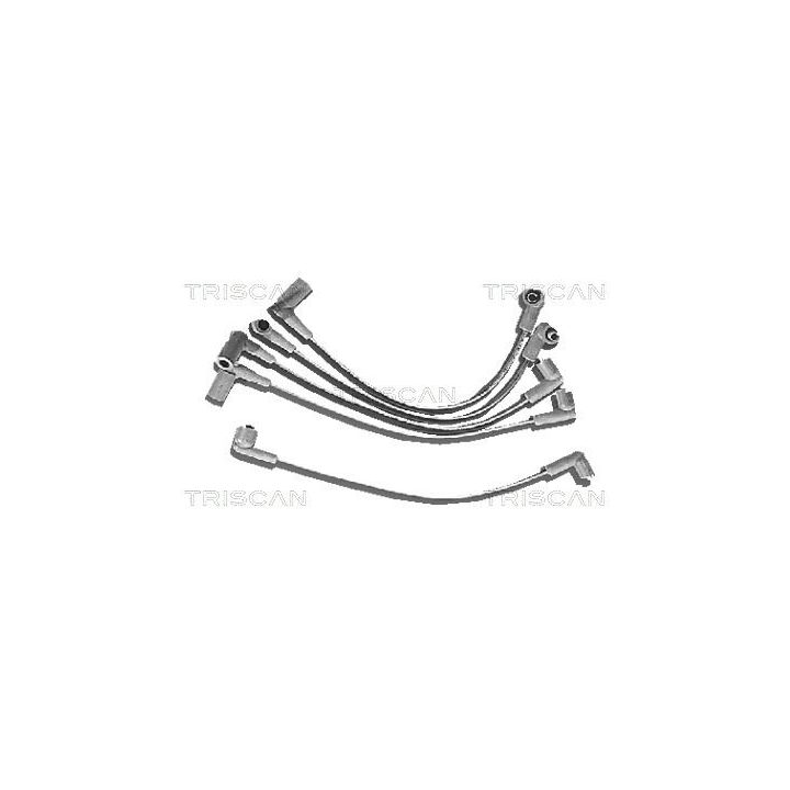 Uždegimo laido komplektas TRISCAN 8860 4011