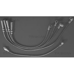 Uždegimo laido komplektas TRISCAN 8860 4119