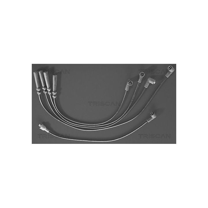 Uždegimo laido komplektas TRISCAN 8860 4119