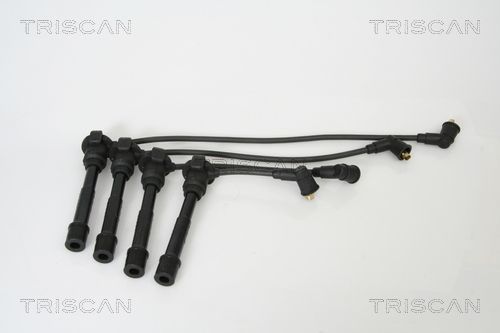 Uždegimo laido komplektas TRISCAN 8860 4204