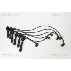 Uždegimo laido komplektas TRISCAN 8860 43002