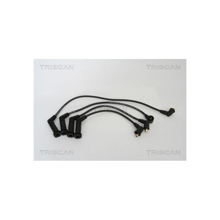 Uždegimo laido komplektas TRISCAN 8860 43003