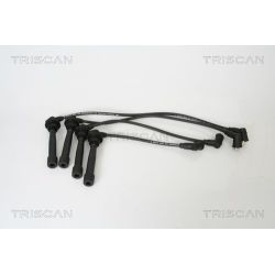 Uždegimo laido komplektas TRISCAN 8860 43005