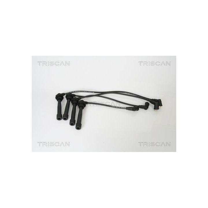 Uždegimo laido komplektas TRISCAN 8860 43005