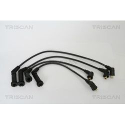 Uždegimo laido komplektas TRISCAN 8860 43006
