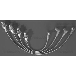 Uždegimo laido komplektas TRISCAN 8860 4331