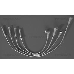 Uždegimo laido komplektas TRISCAN 8860 4333