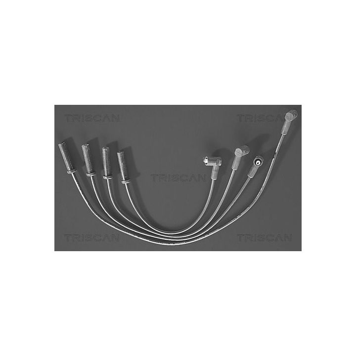 Uždegimo laido komplektas TRISCAN 8860 4333