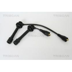 Uždegimo laido komplektas TRISCAN 8860 69004