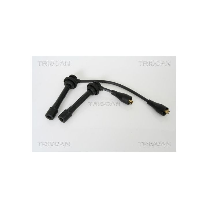 Uždegimo laido komplektas TRISCAN 8860 69004