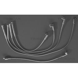 Uždegimo laido komplektas TRISCAN 8860 7135